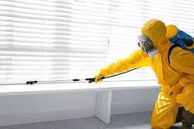 Best Termite Inspection and Treatment  in Midland, NC